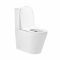 Унитаз-компакт Qtap Scorpio безобедочный с сиденьем Soft-close QT14222125ARW