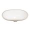 Раковина Qtap Stork 565x385x210 White QT15116030WN