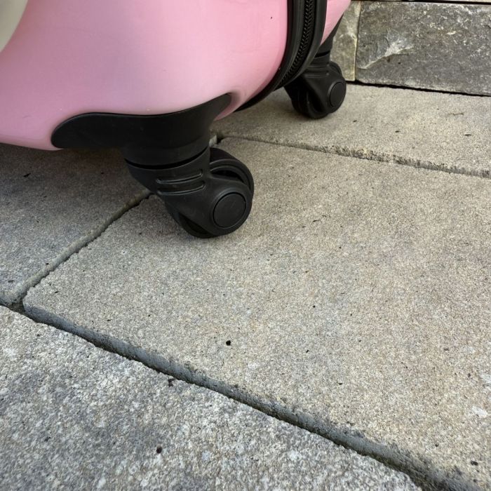 Дитяча дорожня валіза на колесах Ecarla WP06 Рожевий